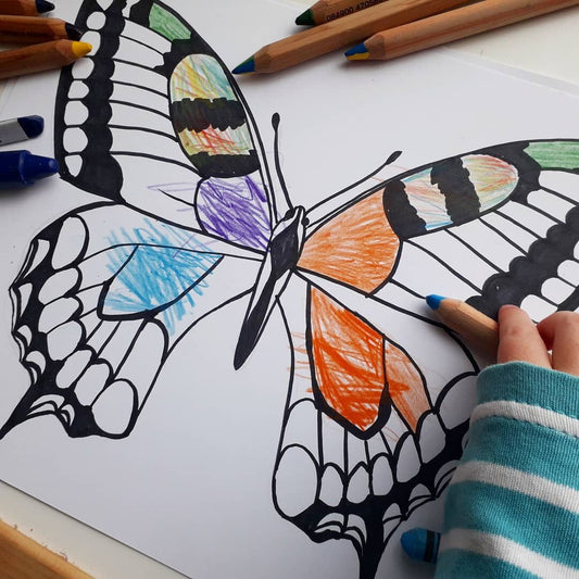 Free Butterfly Colouring Pages - At the Cherry Tree