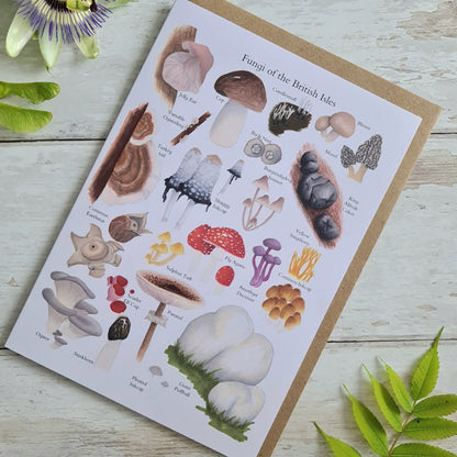 Fungi of the British Isles - Greetings Card - At the Cherry Tree