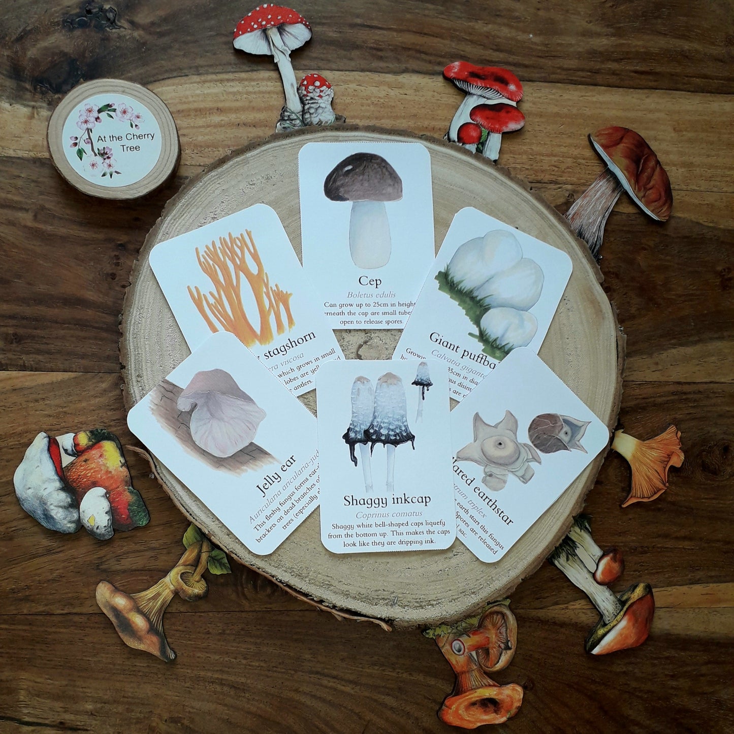 Fungus identification pocket Set - At the Cherry Tree