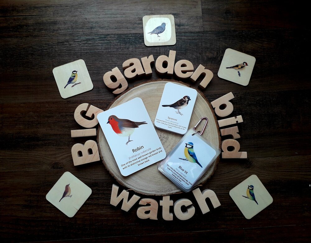 Garden Bird - Pocket Set - At the Cherry Tree