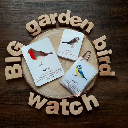 Garden Bird - Pocket Set - At the Cherry Tree