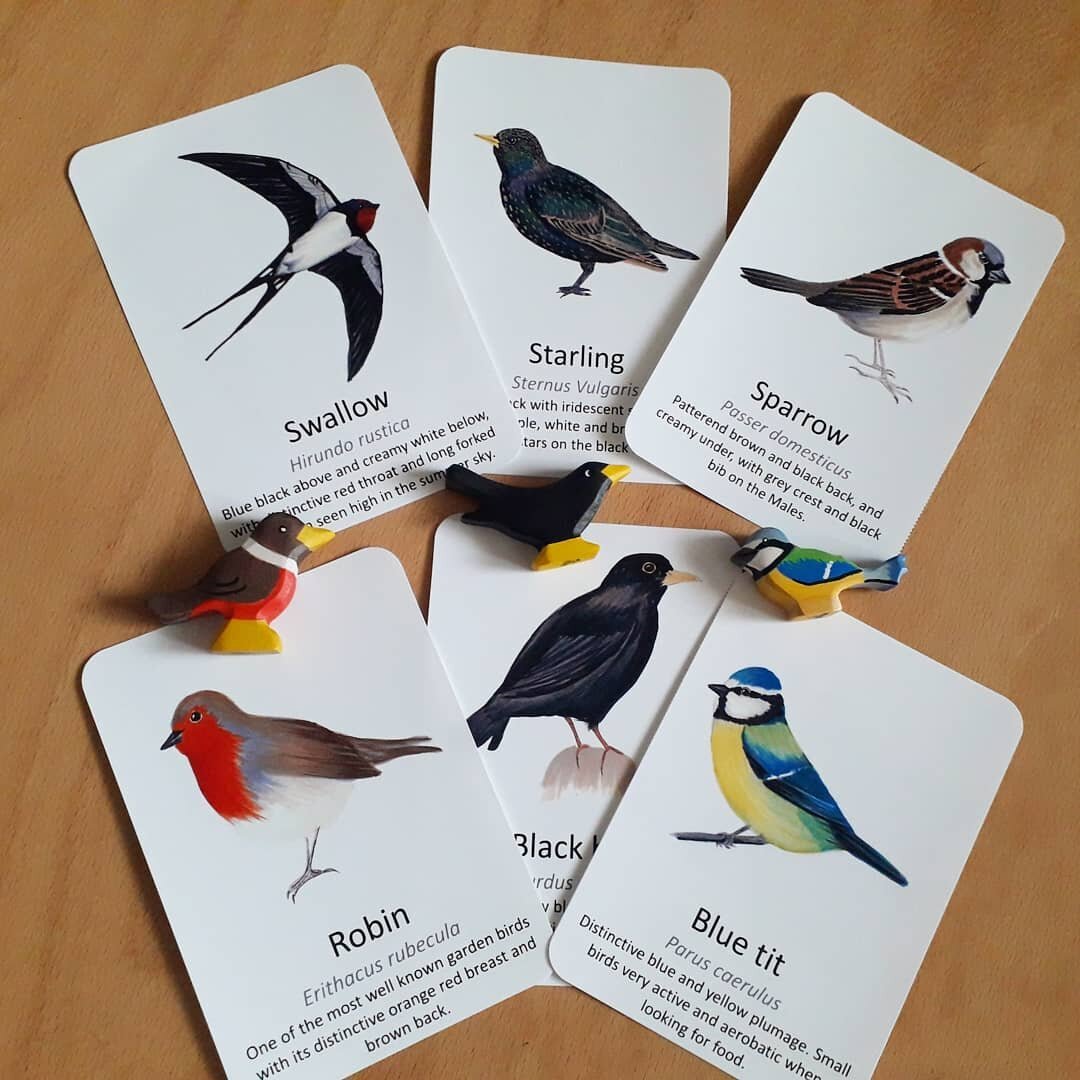 Garden Birds Flashcards - PDF - At the Cherry Tree