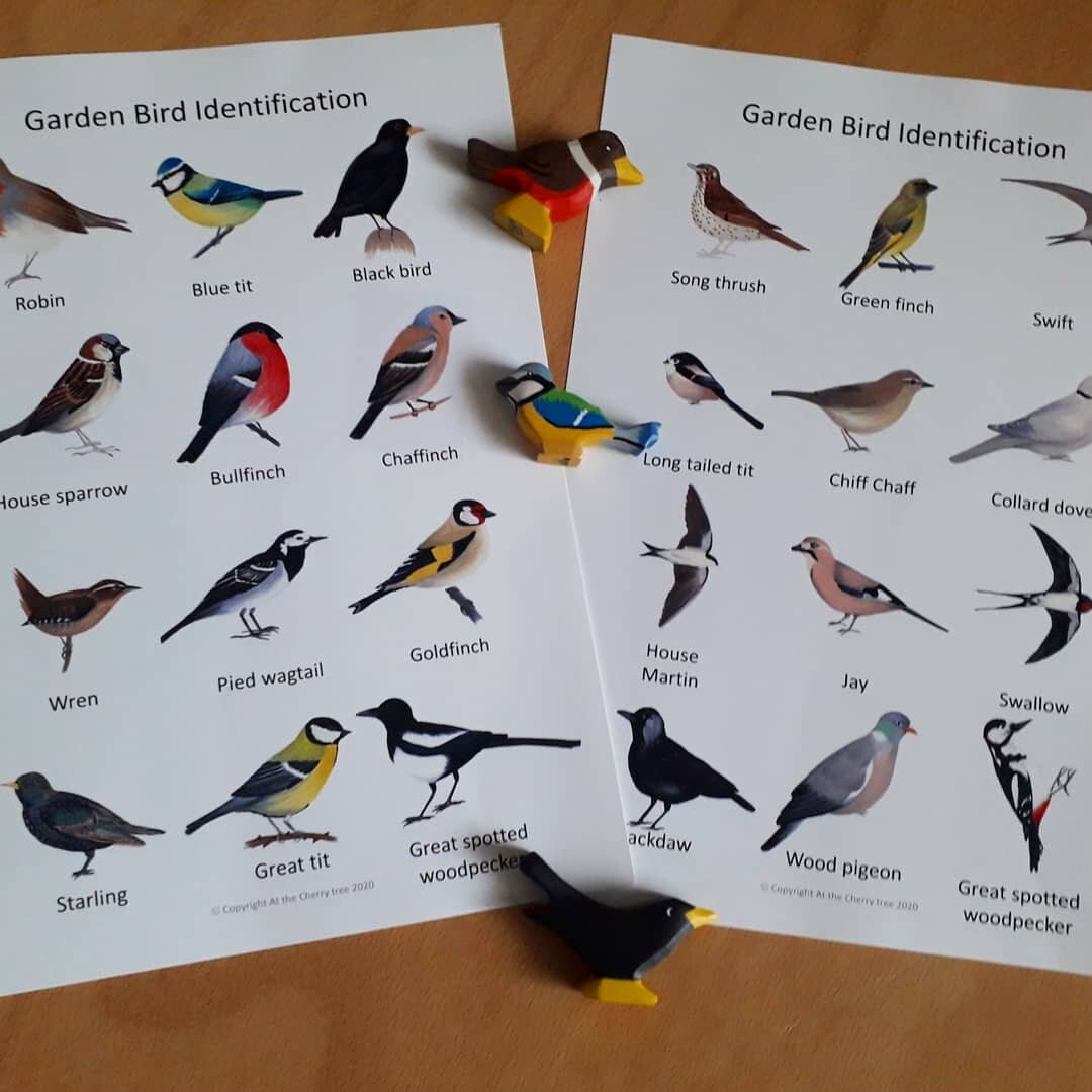 Garden Birds Flashcards - PDF - At the Cherry Tree