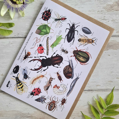 Garden Invertebrates of the British Isles - Greetings Card - At the Cherry Tree