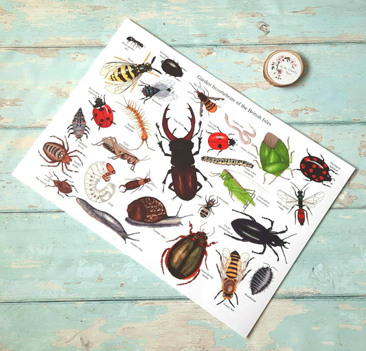 Garden Invertebrates Of the British Isles - Poster Print - At the Cherry Tree