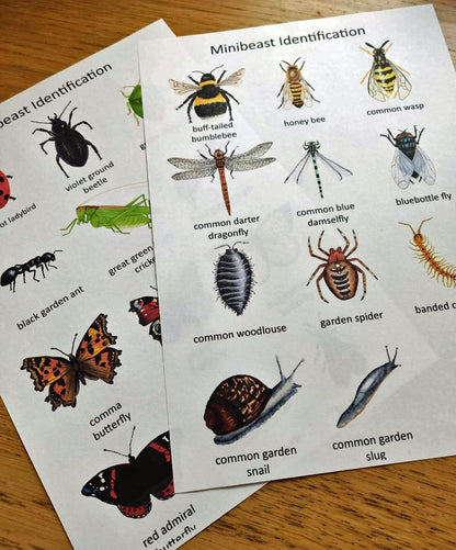 Garden Minibeasts Pack - PDF - At the Cherry Tree