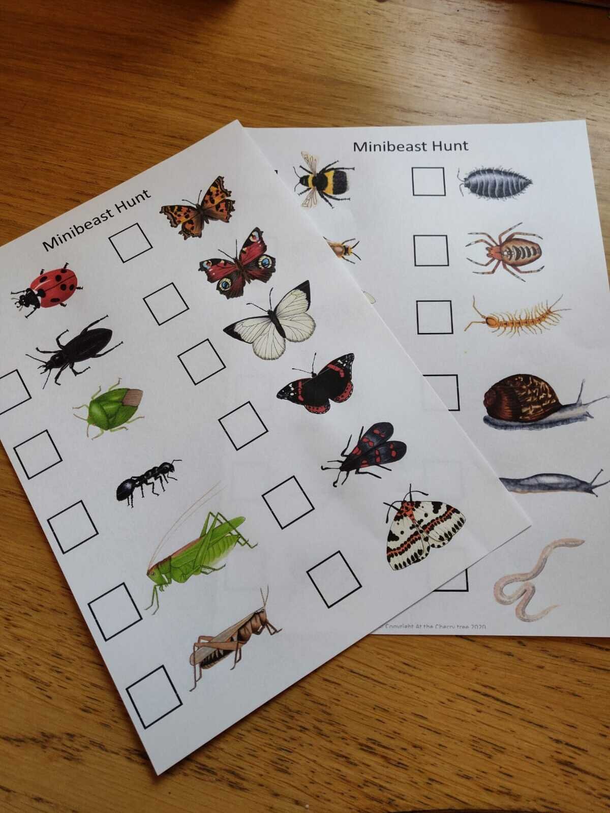 Garden Minibeasts Pack - PDF - At the Cherry Tree