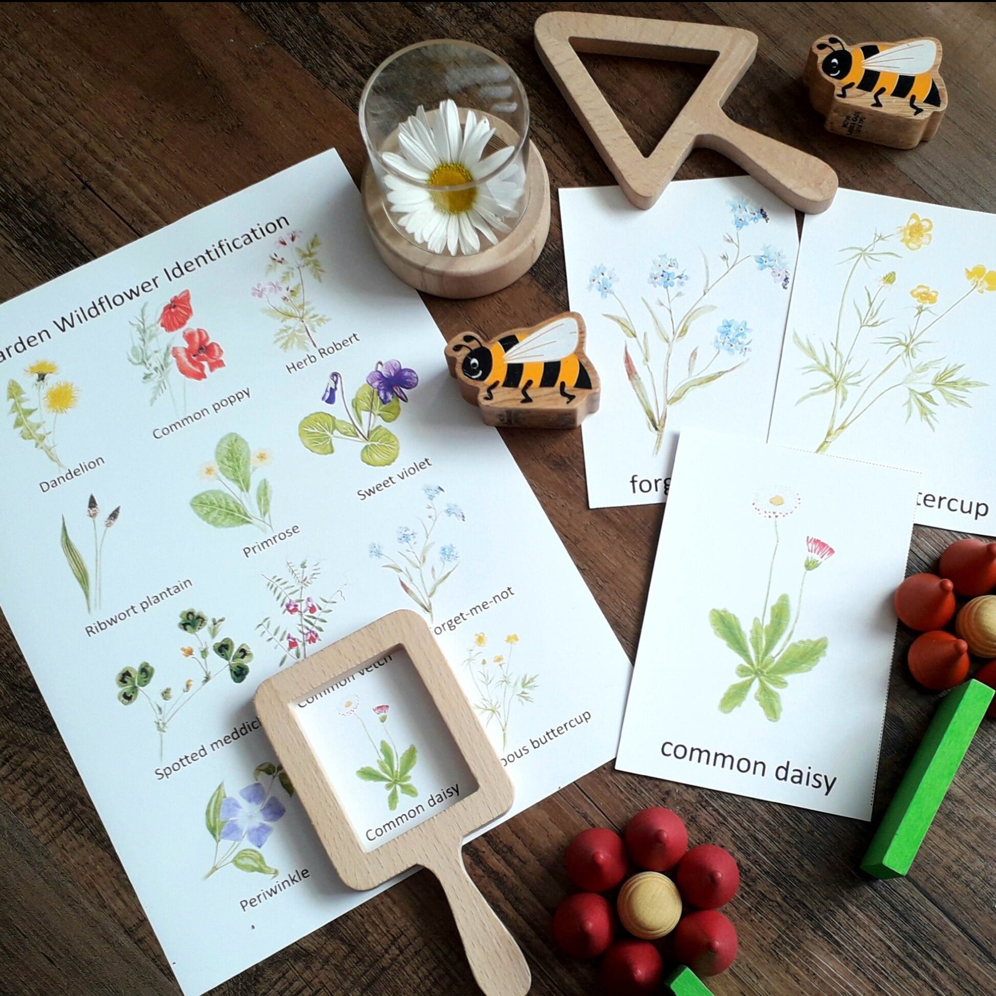 Garden Wildflower Montessori pack - PDF - At the Cherry Tree