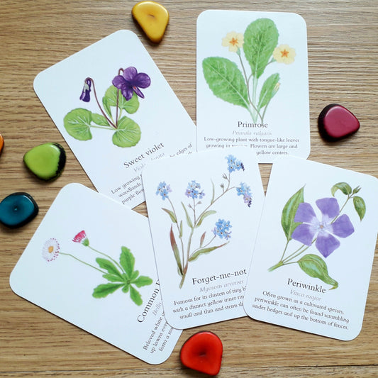 Garden Wildflower - Pocket Set - At the Cherry Tree