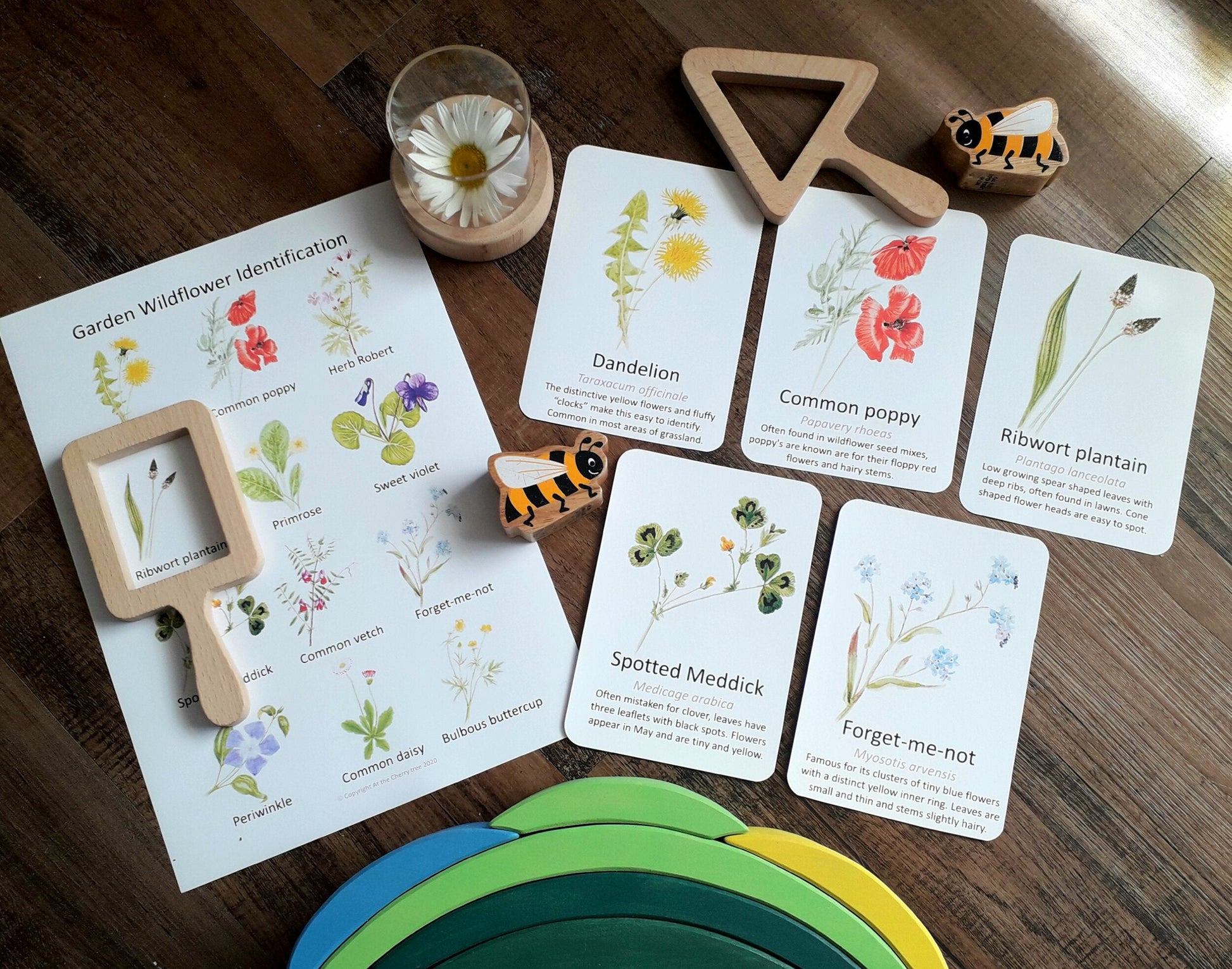 Garden Wildflowers Flashcards - PDF - At the Cherry Tree