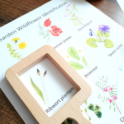 Garden Wildflowers Flashcards - PDF - At the Cherry Tree