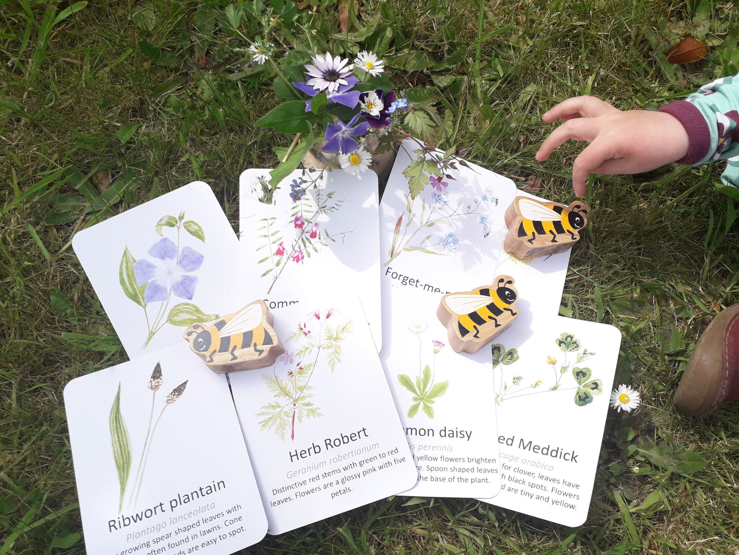 Garden Wildflowers Flashcards - PDF - At the Cherry Tree