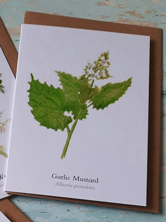 Garlic Mustard - Greetings Card - At the Cherry Tree