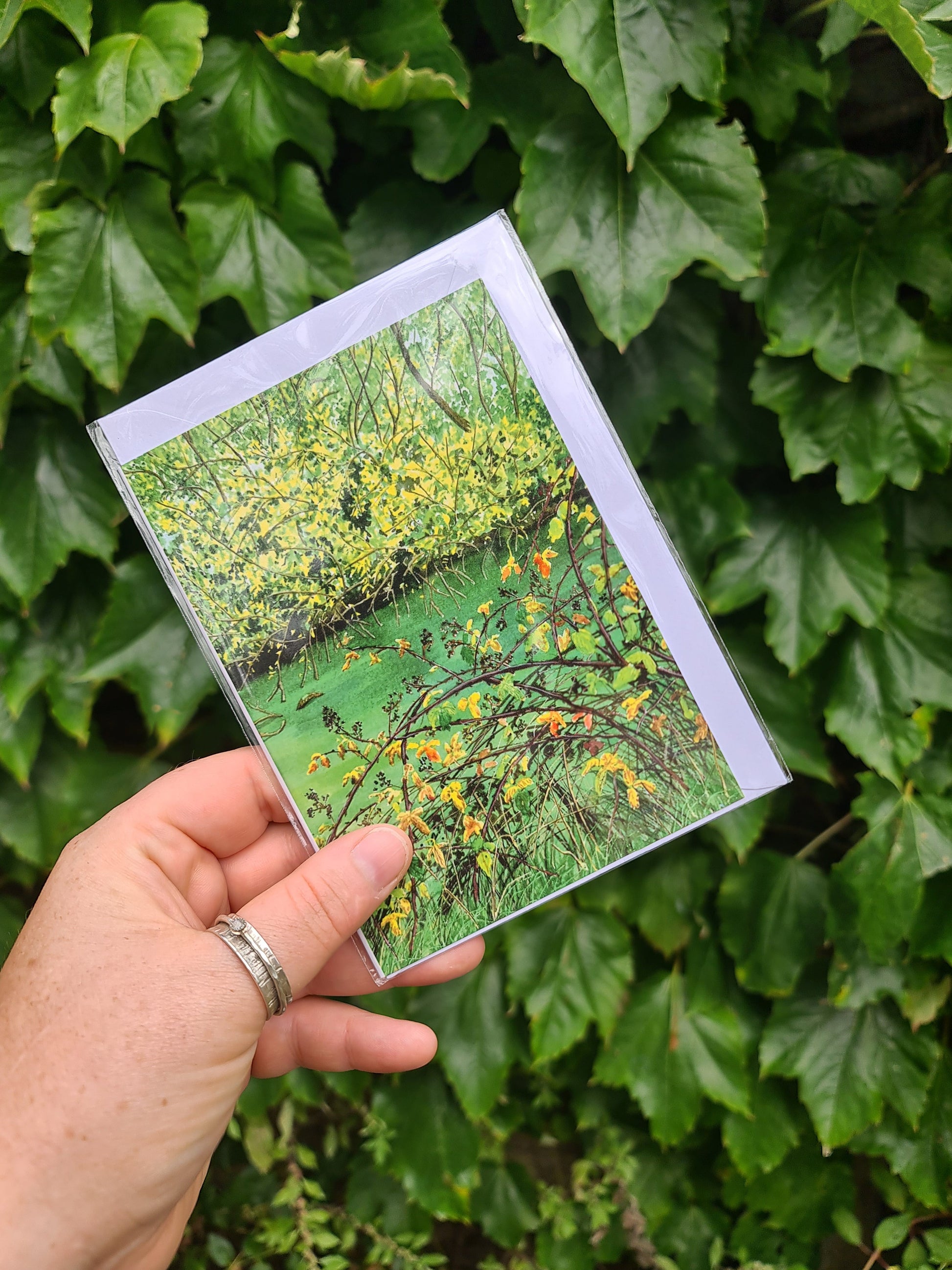 Green Pond - Greetings Card - At the Cherry Tree