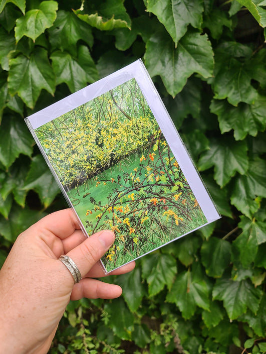 Green Pond - Greetings Card - At the Cherry Tree