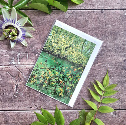 Green Pond - Greetings Card - At the Cherry Tree