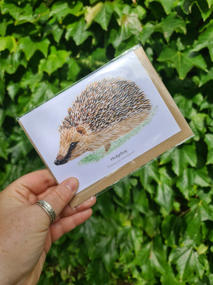 Hedgehog - Greetings Card - At the Cherry Tree