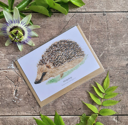 Hedgehog - Greetings Card - At the Cherry Tree