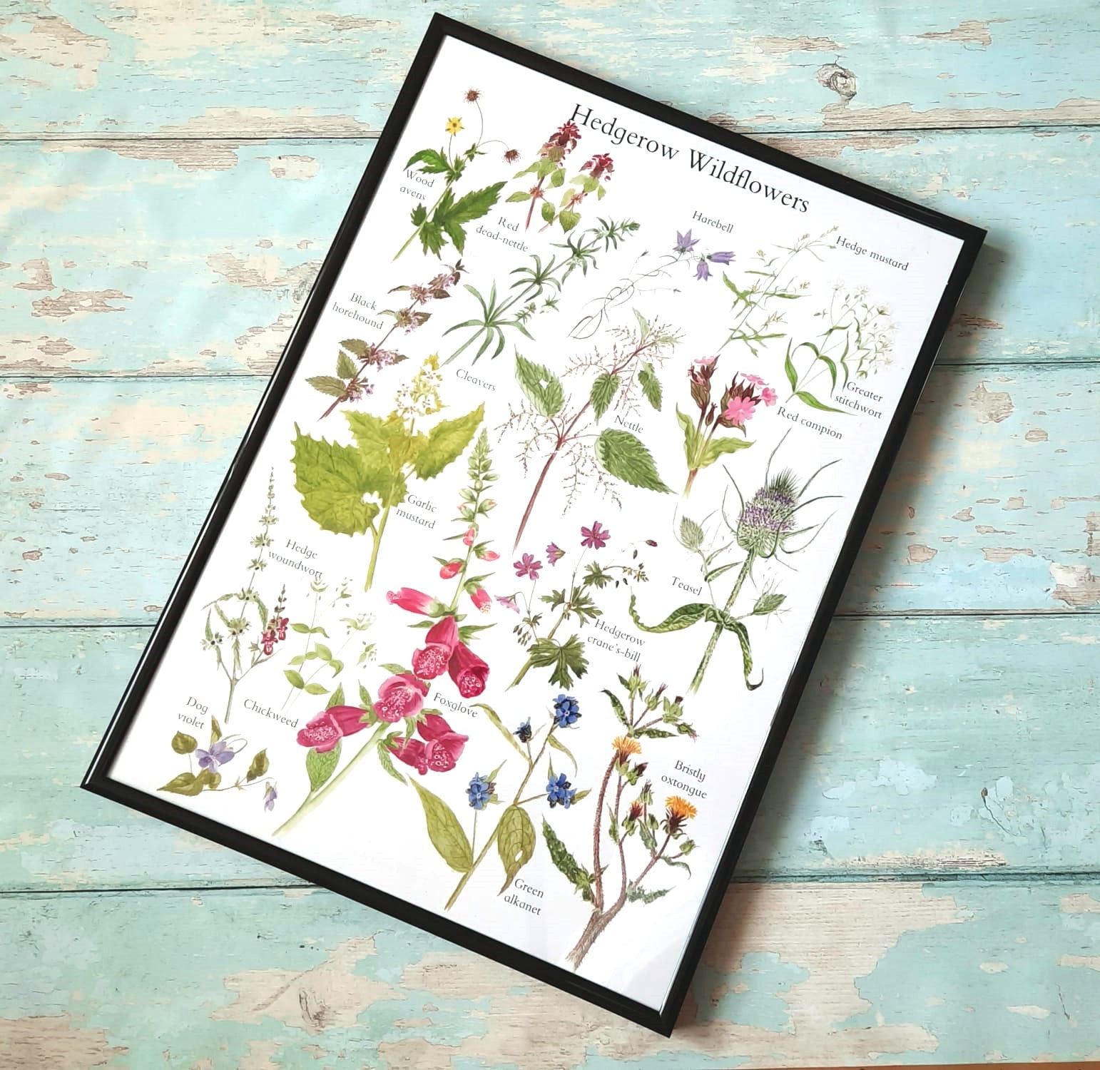 Hedgerow Wildflowers - Poster Print - At the Cherry Tree