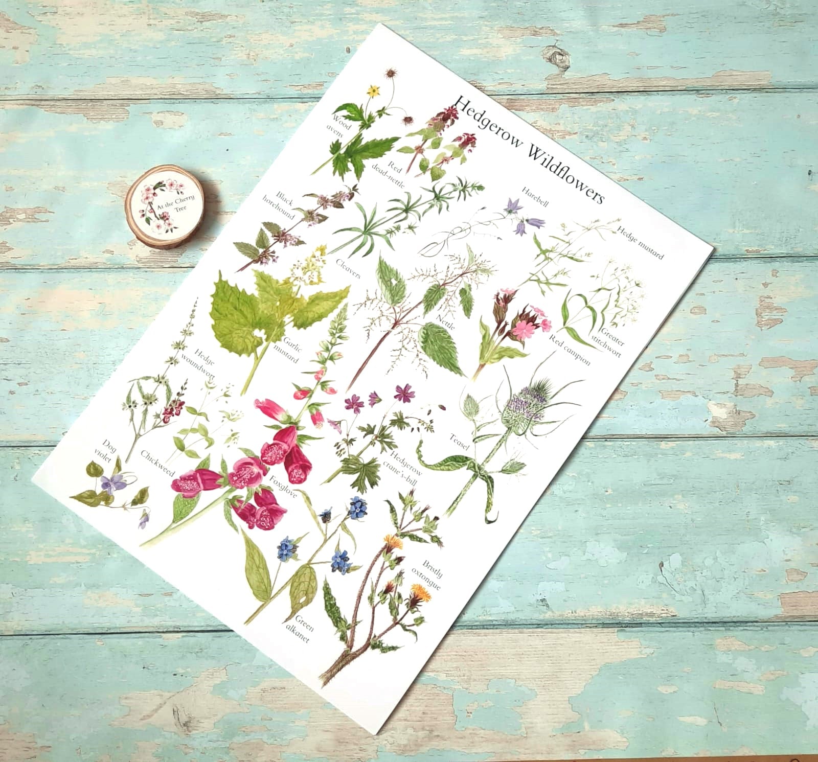 Hedgerow Wildflowers - Poster Print - At the Cherry Tree