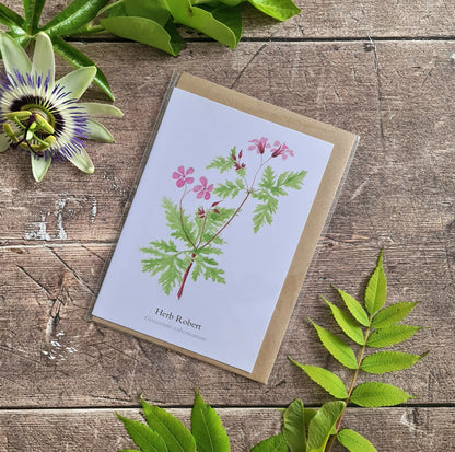 Herb Robert - Greetings Card - At the Cherry Tree