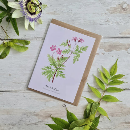 Herb Robert - Greetings Card - At the Cherry Tree