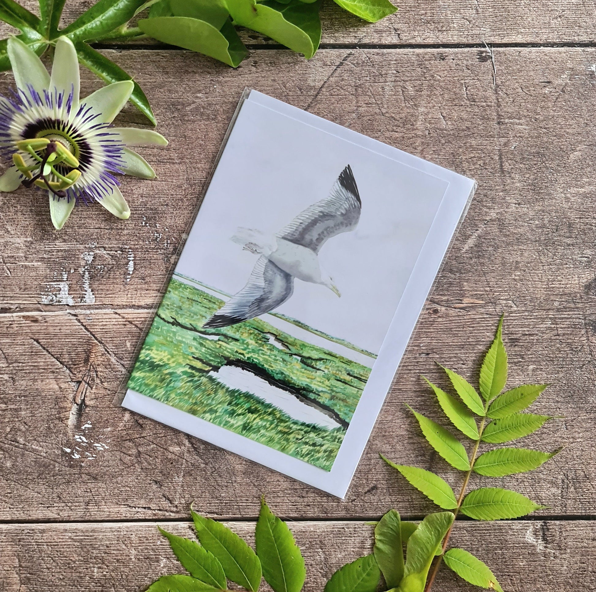 Herring Gull - Greetings Card - At the Cherry Tree