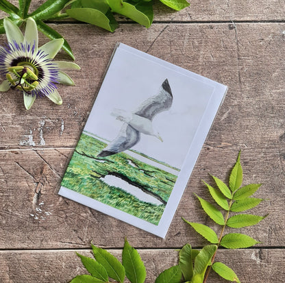 Herring Gull - Greetings Card - At the Cherry Tree