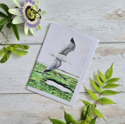 Herring Gull - Greetings Card - At the Cherry Tree