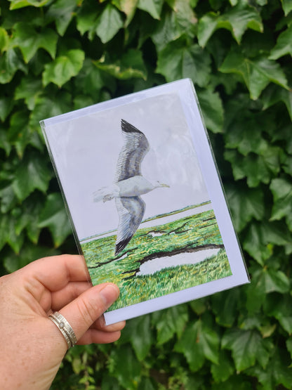 Herring Gull - Greetings Card - At the Cherry Tree