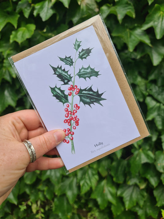 Holly - Greetings Card - At the Cherry Tree