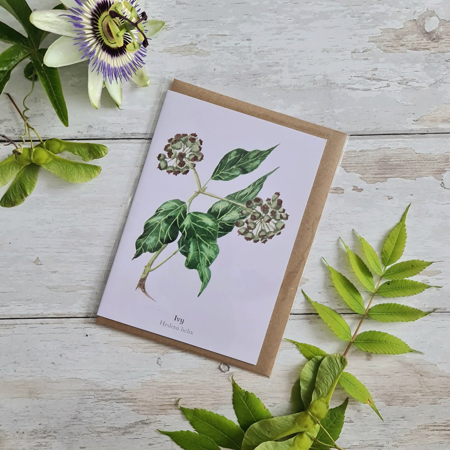 Ivy - Greetings Card - At the Cherry Tree