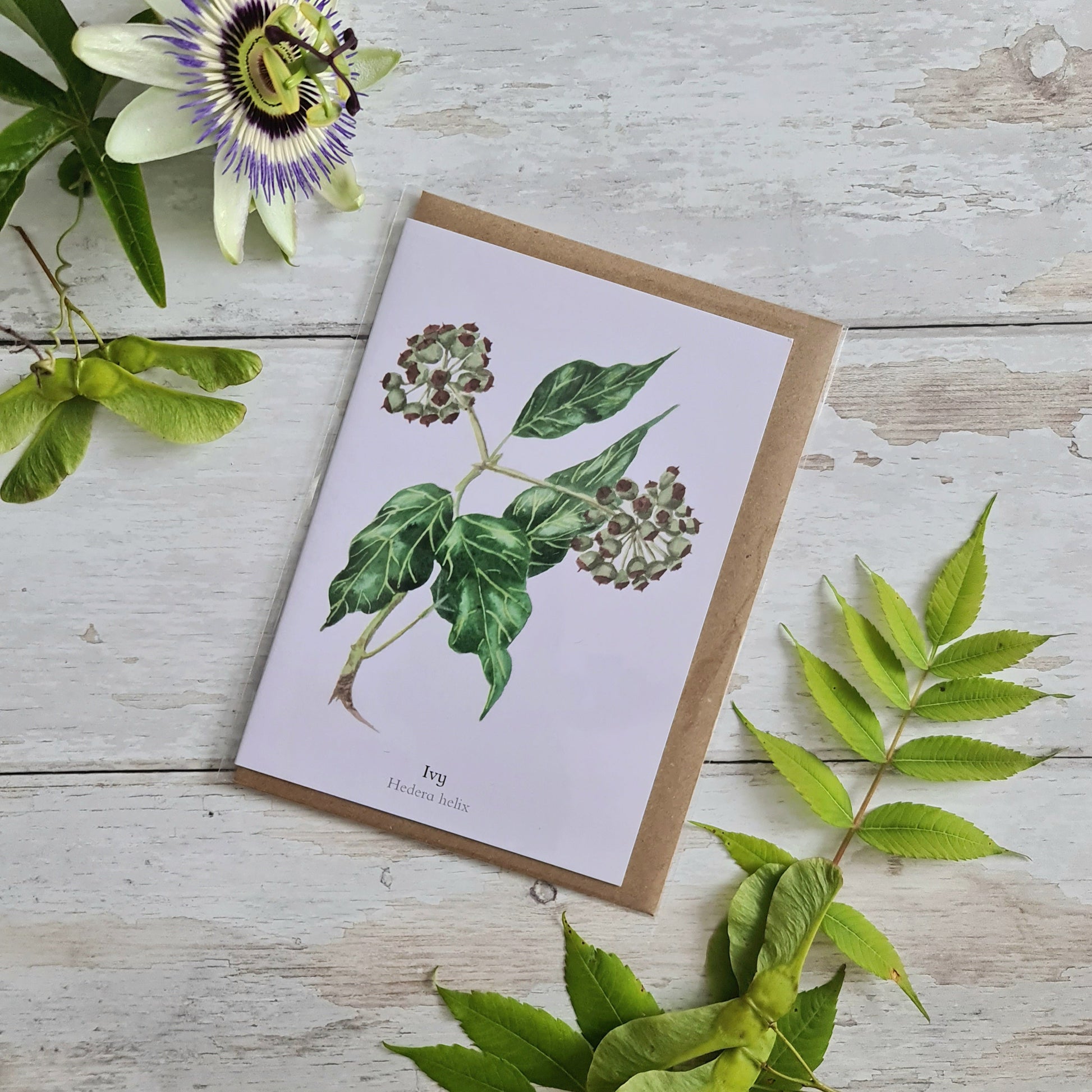 Ivy - Greetings Card - At the Cherry Tree