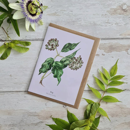Ivy - Greetings Card - At the Cherry Tree