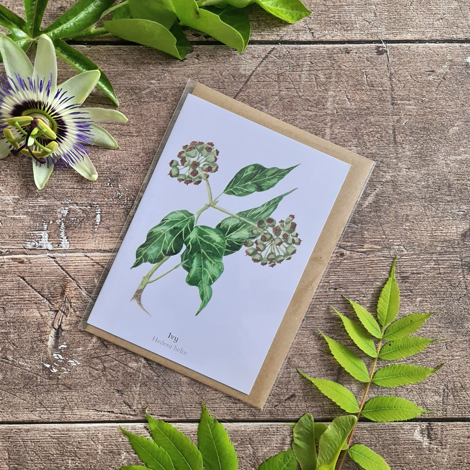 Ivy - Greetings Card - At the Cherry Tree