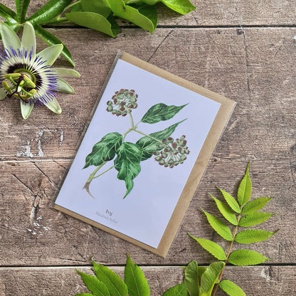 Ivy - Greetings Card - At the Cherry Tree