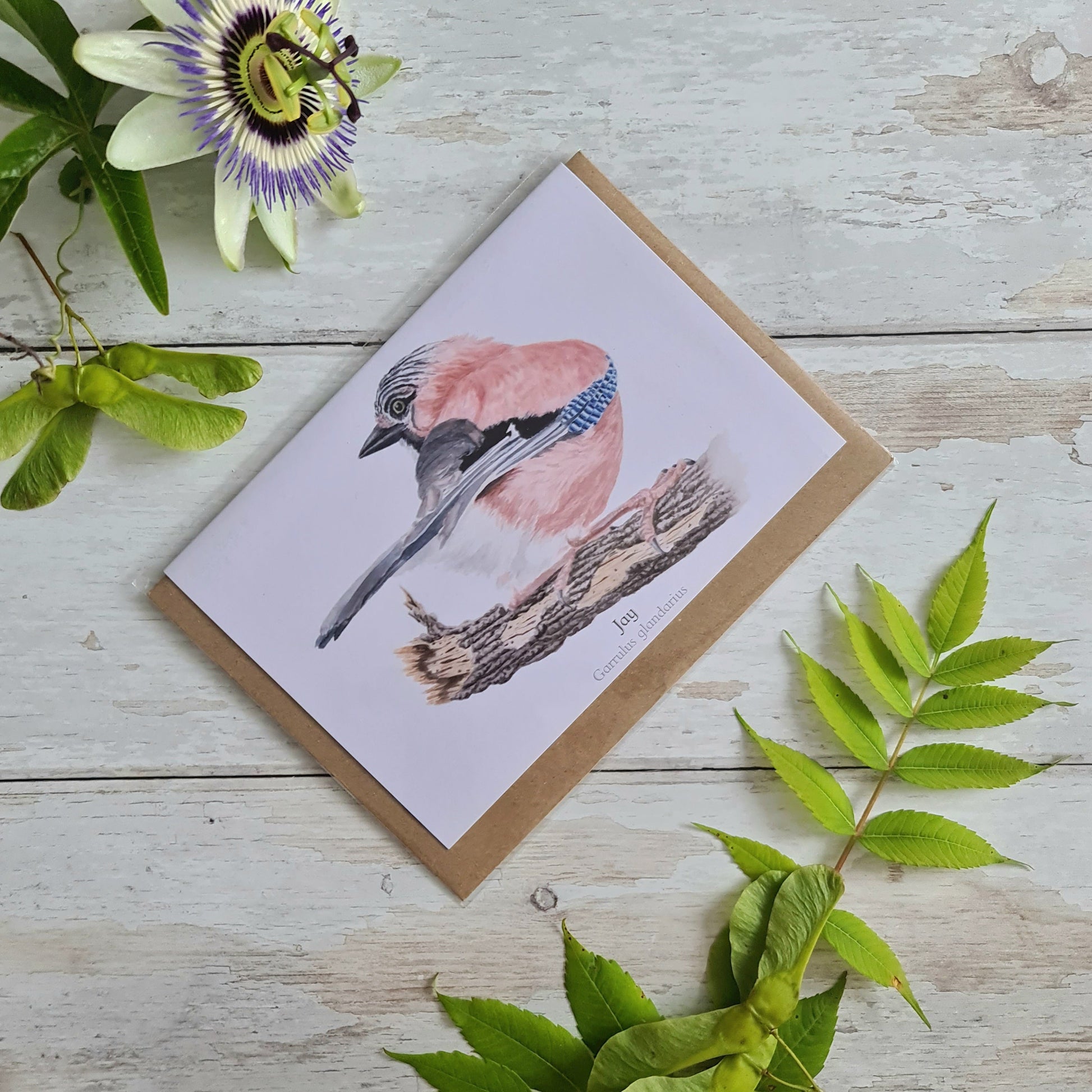 Jay - Greetings Card - At the Cherry Tree