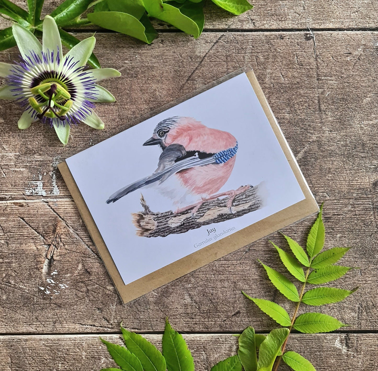 Jay - Greetings Card - At the Cherry Tree