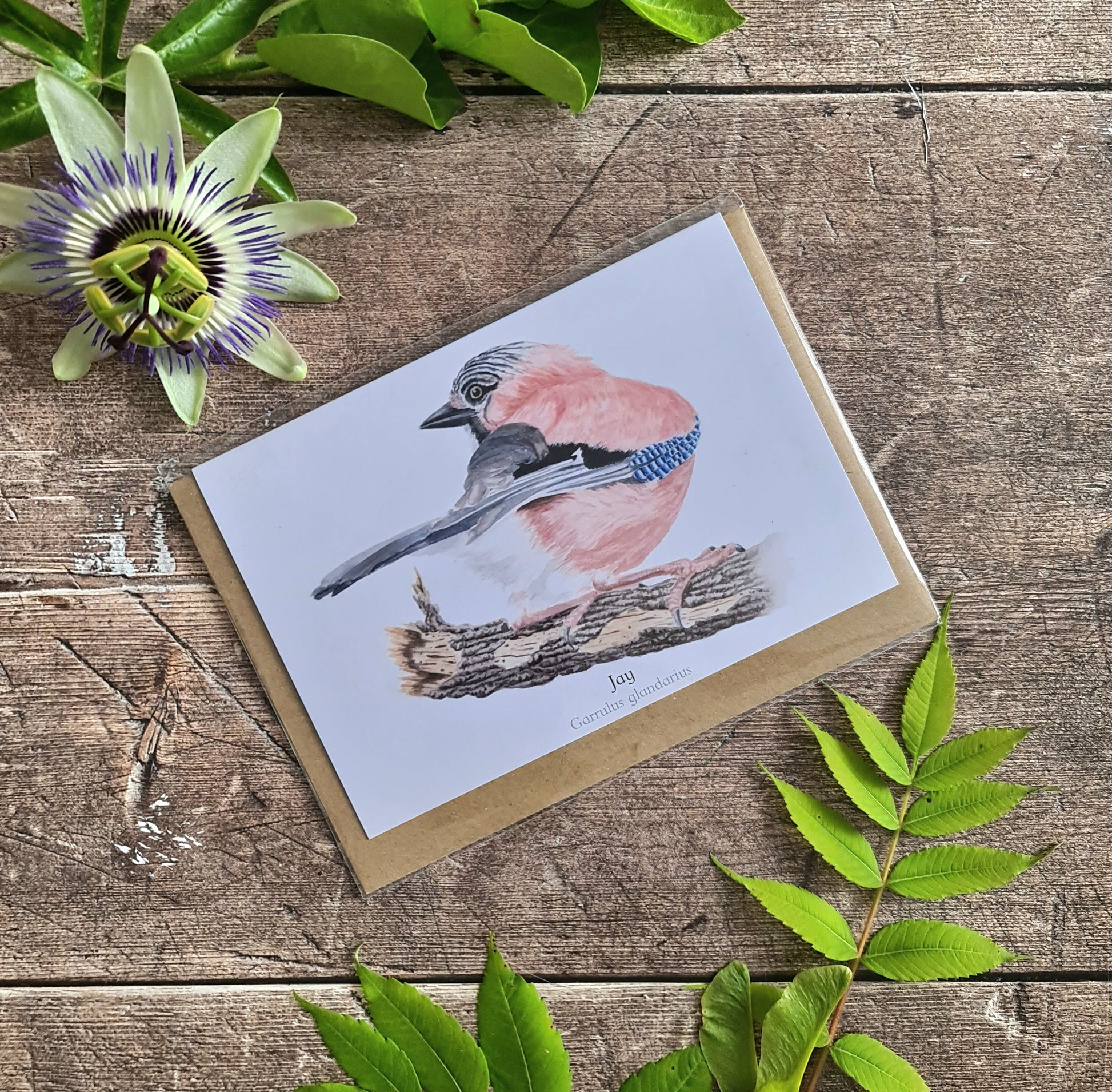 Jay - Greetings Card - At the Cherry Tree