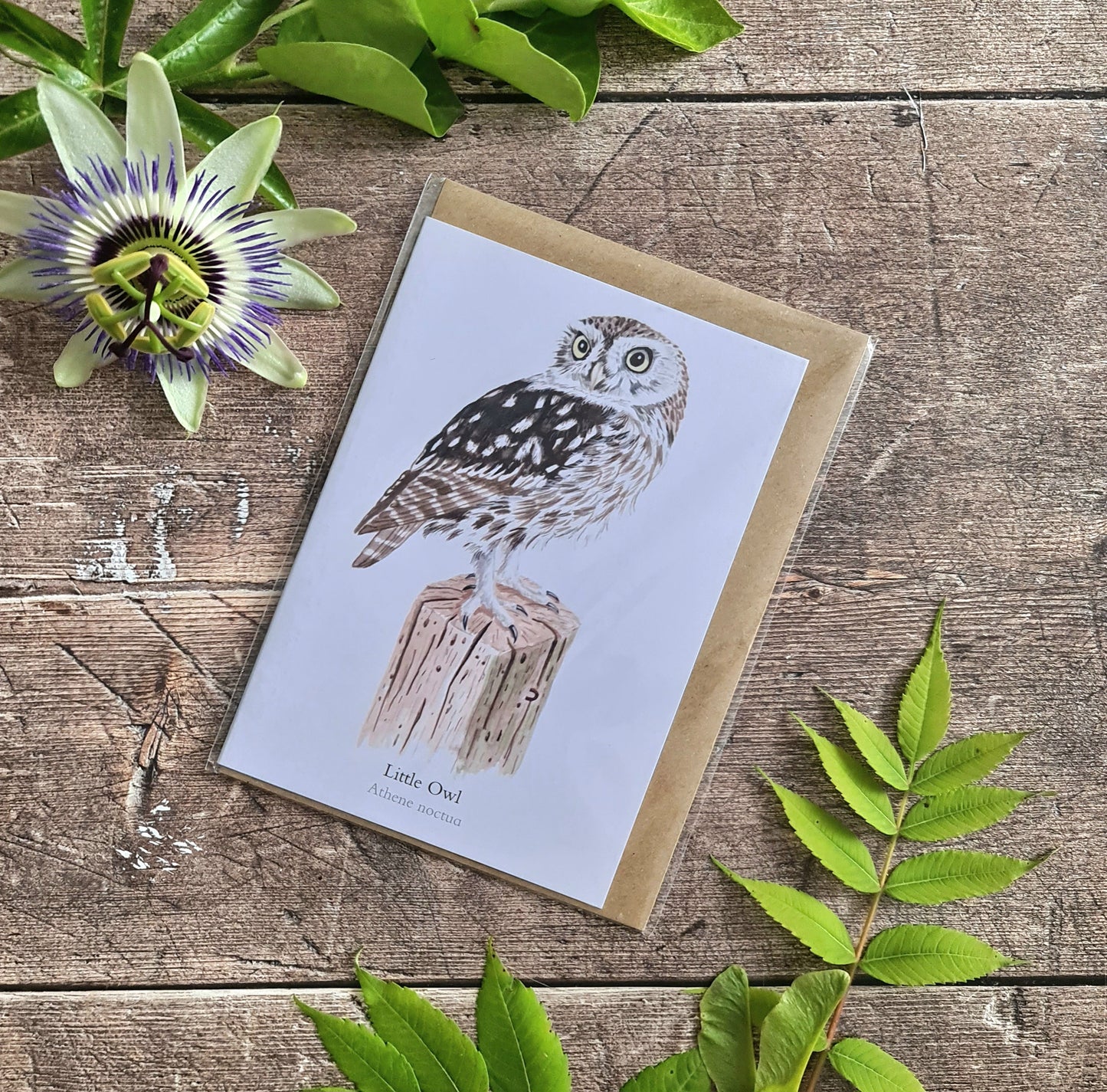 Little Owl - Greetings Card - At the Cherry Tree