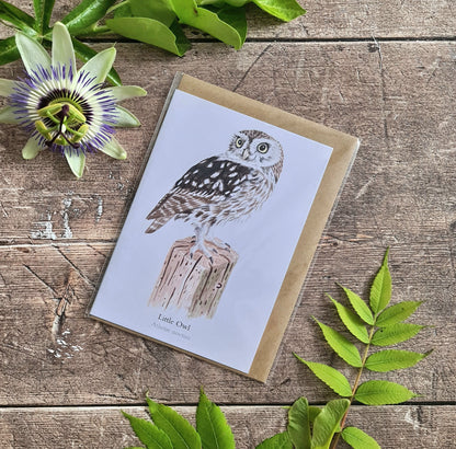 Little Owl - Greetings Card - At the Cherry Tree