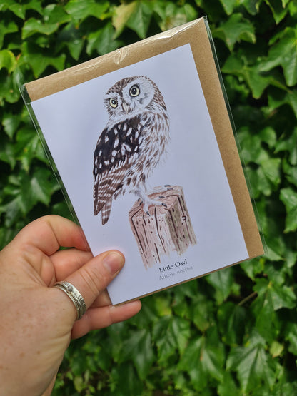 Little Owl - Greetings Card - At the Cherry Tree