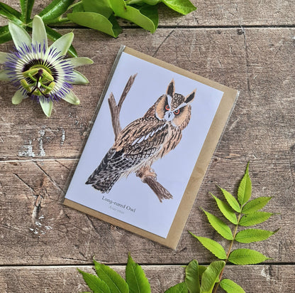 Long - eared Owl - Greetings Card - At the Cherry Tree