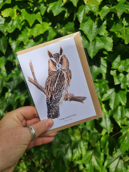 Long - eared Owl - Greetings Card - At the Cherry Tree