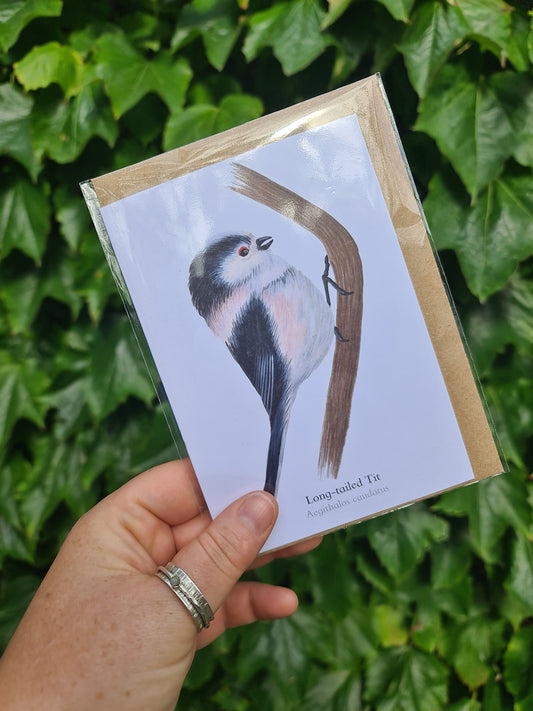 Long - tailed Tit - Greetings Card - At the Cherry Tree