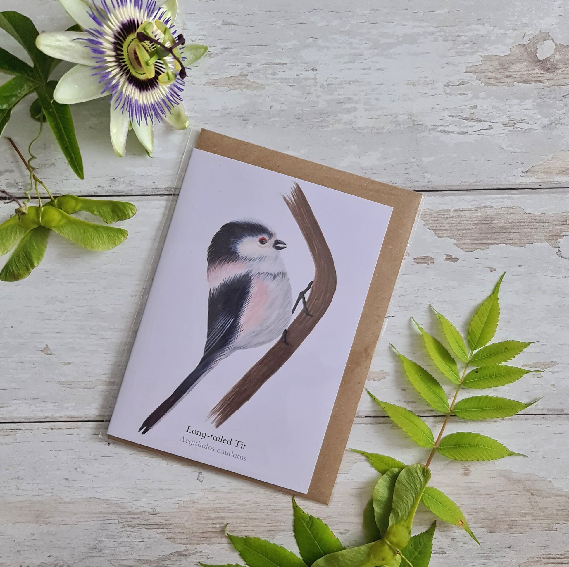 Long - tailed Tit - Greetings Card - At the Cherry Tree