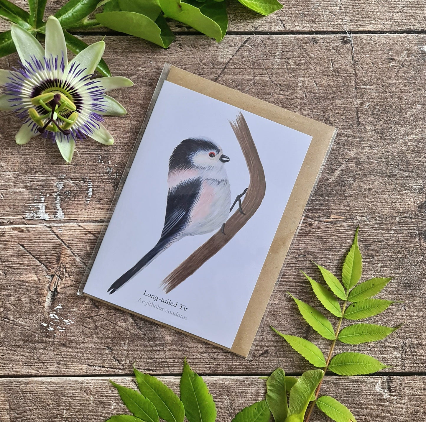 Long - tailed Tit - Greetings Card - At the Cherry Tree