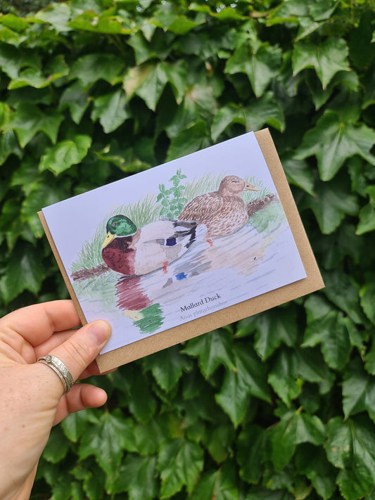 Mallard Duck - Greetings Card - At the Cherry Tree