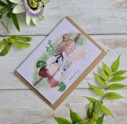 Mallard Duck - Greetings Card - At the Cherry Tree