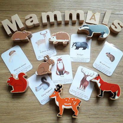 Mammals of the British Isles flashcards - PDF - At the Cherry Tree